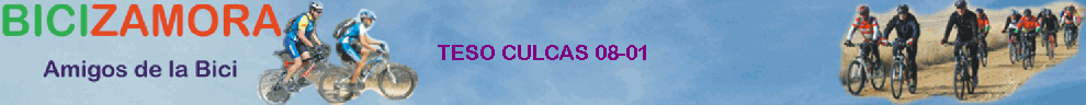 TESO CULCAS 08-01